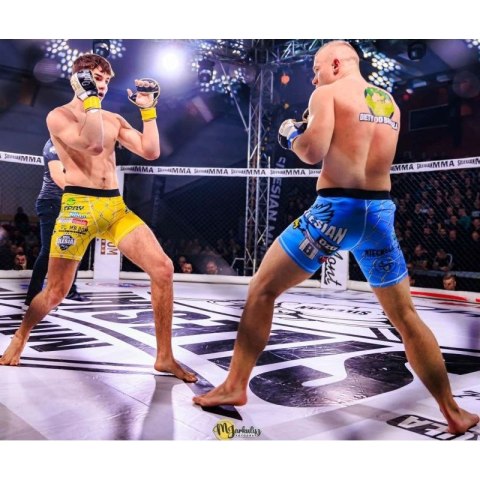 Rękawice MMAsparingowe S/M - Undefeated - Valor Series DBX Bushido