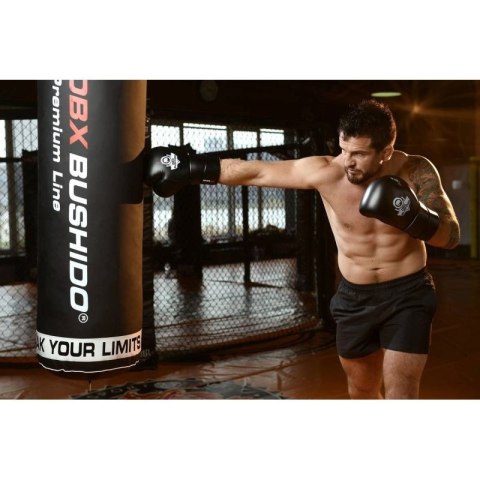 Rękawice bokserskie 10oz - Eclipse - Origin Series DBX Bushido