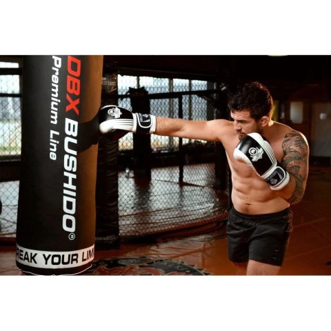 Rękawice bokserskie 10oz - Edge - Valor Series DBX Bushido