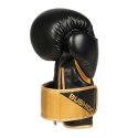 Rękawice bokserskie 10oz - Infinity - Origin Series DBX Bushido