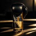 Rękawice bokserskie 10oz - Infinity - Origin Series DBX Bushido