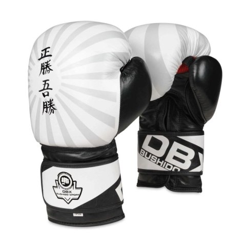 Rękawice bokserskie 10oz - Japan - Valor Series DBX Bushido