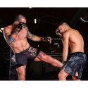 Rękawice MMAsparingowe M - Aureos - Valor Series DBX Bushido