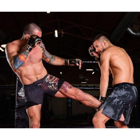 Rękawice MMAsparingowe M - Aureos - Valor Series DBX Bushido