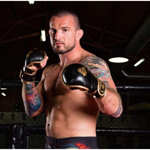 Rękawice MMAsparingowe M - Aureos - Valor Series DBX Bushido