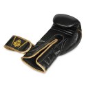 Rękawice bokserskie 10oz - Aureos - Valor Series DBX Bushido