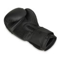 Rękawice bokserskie 10oz - Black Master - Valor Series DBX Bushido