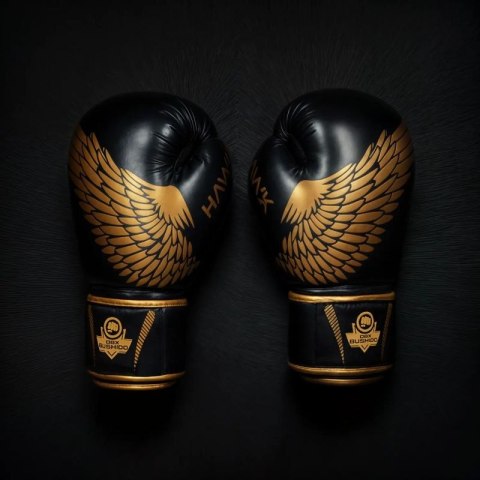 Rękawice bokserskie 8oz - Hawk - Origin Series DBX Bushido