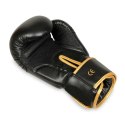 Rękawice bokserskie 8oz - Hawk - Origin Series DBX Bushido