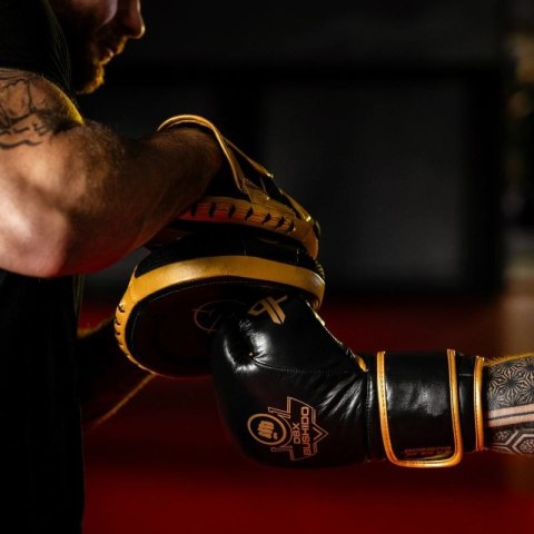 Rękawice bokserskie wielowarstwowe - ProFighter Gold - Legacy Series DBX Bushido