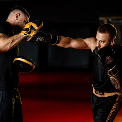 Rękawice bokserskie wielowarstwowe - ProFighter Gold - Legacy Series DBX Bushido