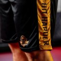 Spodenki bokserskie treningowe GOLD DBX Bushido