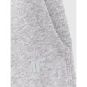Spodnie dresowe joggery damskie 4F 4FRAW25TTROF1613-26M 4f
