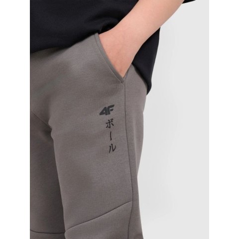 Spodnie joggery 4F Jr 4FJRAW25TTROM1663-24S 4f