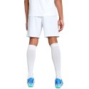 Spodenki męskie Puma Team Goal białe 705752 04 Puma