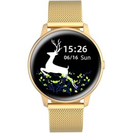 Damski SMARTWATCH G.Rossi SW015-5 Złoty G.ROSSI