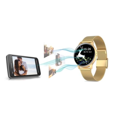 Damski SMARTWATCH G.Rossi SW015-5 Złoty G.ROSSI