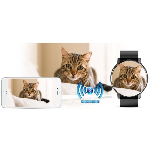 Smartwatch Damski Gravity GT1-3 Gravity