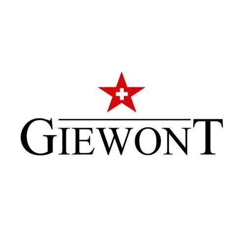 Smartwatch GIEWONT Vertex SmartCall GW450-1 Carbon/Carbon Silikon Giewont